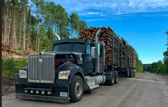 Kenworth noir TFB chargé de billots sur chemin forestier